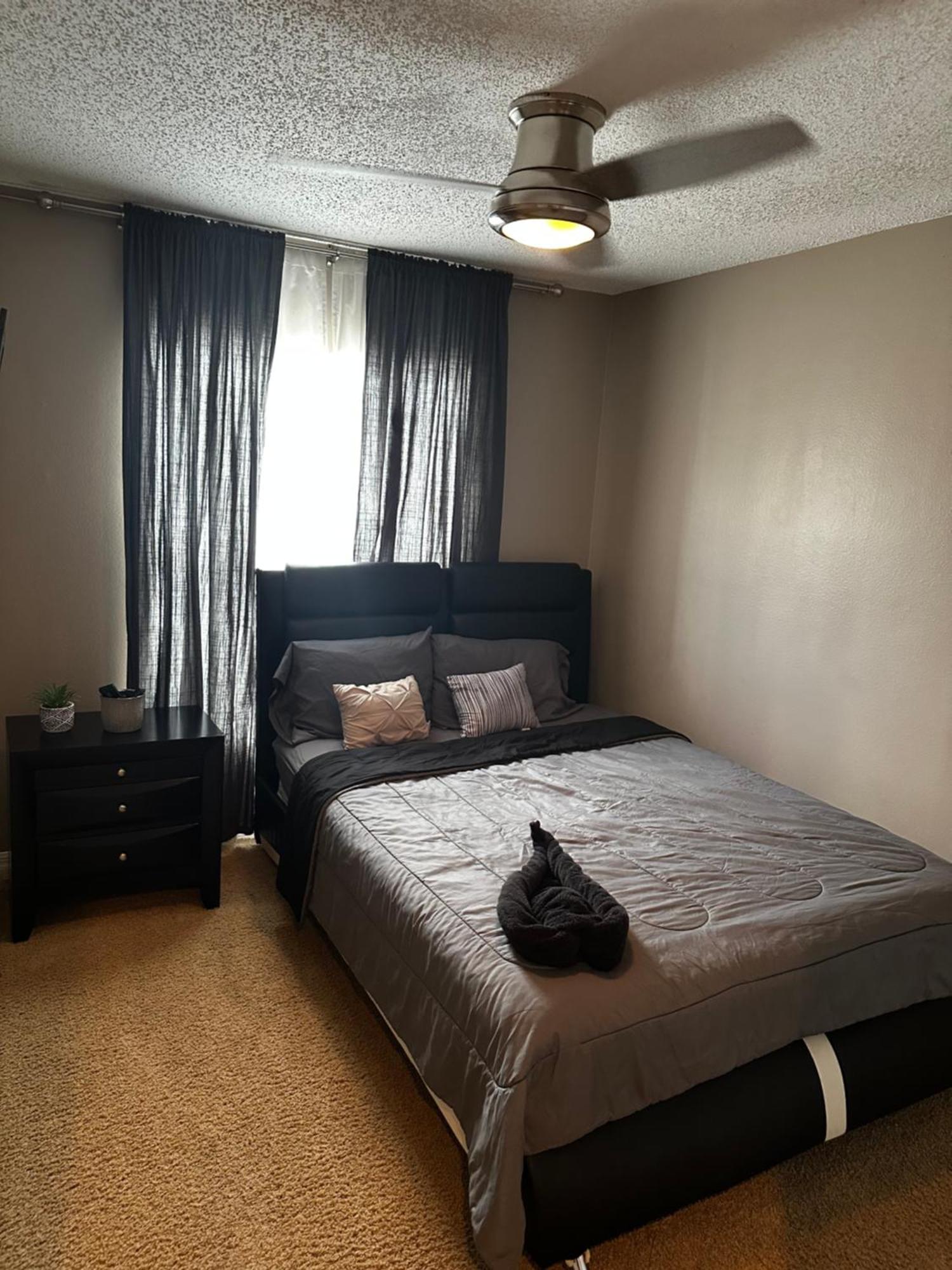 Cozy 3 Bedroom Home Close To Everything In Tampa! Dış mekan fotoğraf